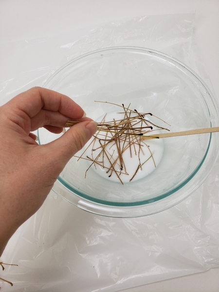 Soak dried stems in the glue mixture