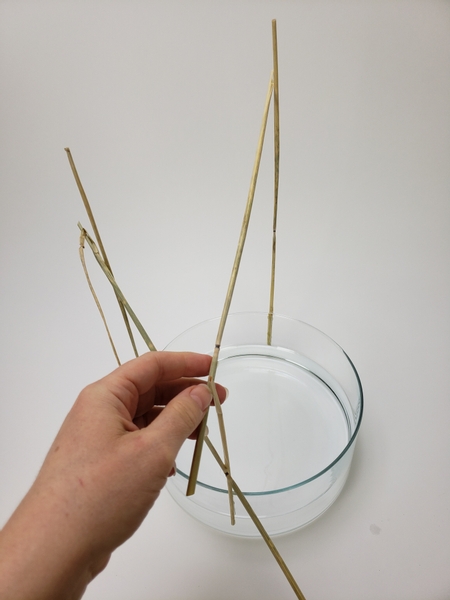 Glue in the next section to connect the other two wheat stems