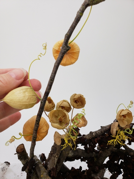 Glue in any dry flowery bits to decorate the forest floor