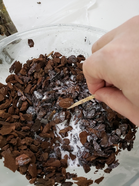 Let the chips soak in the glue mixture to be completely saturated