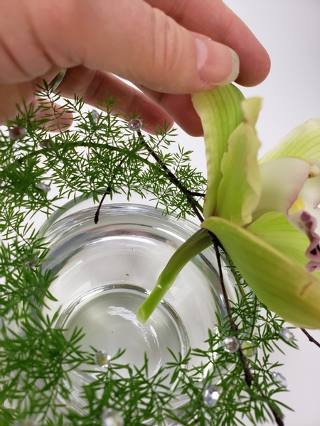 Place the orchid so that it is kept in place by the horizontal twig