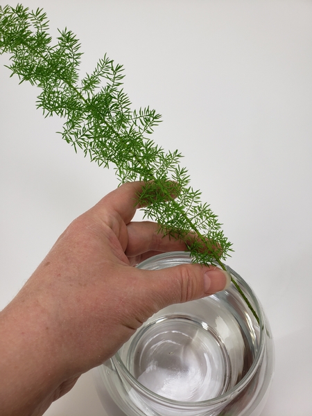 Strip the fern so that you can place the stem in water