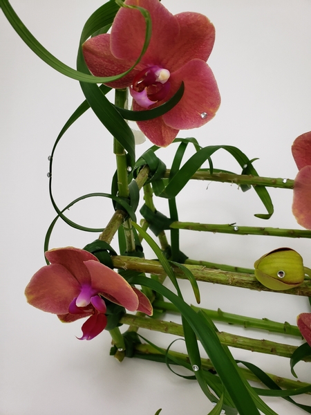 Phalaenopsis orchids in a basket Tutorial