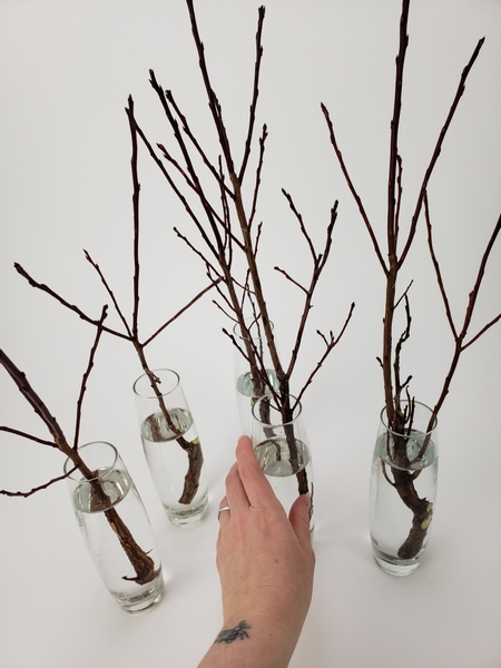 Place a few budding twigs in bud vases.jpg