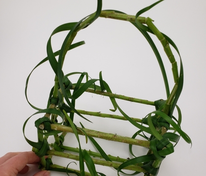 Off-cut stem snippet and grass curl basket
