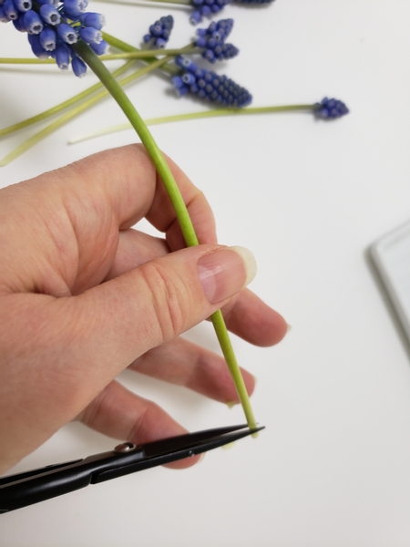 Give the flower stems a fresh cut