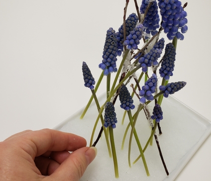 Place delicate stems at an angle in a shallow fiber lined container
