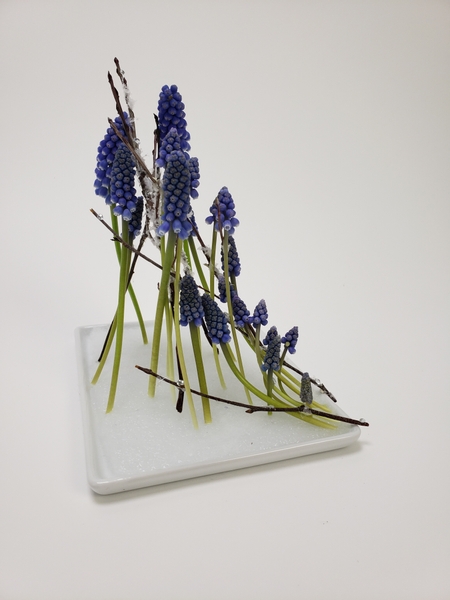 Muscari floral arrangement for early spring