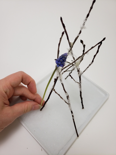 Place the grape hyacinths flowers into the armature