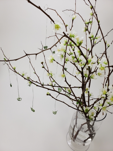 Quince blossom branches for Valentines day designs