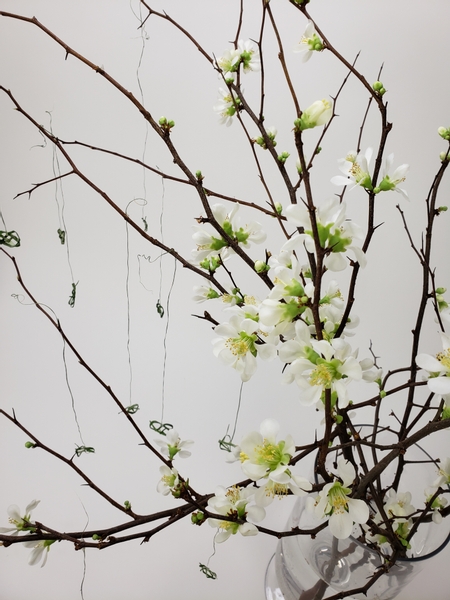 Quince blossom branches with woven hanging hearts