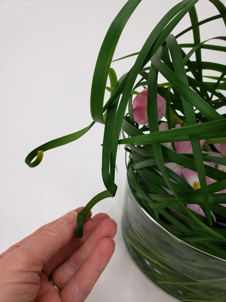 And only these blades into tight ringlets