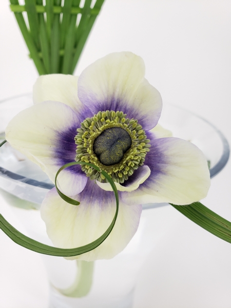 Anemone floral arrangement design using minimal plant material