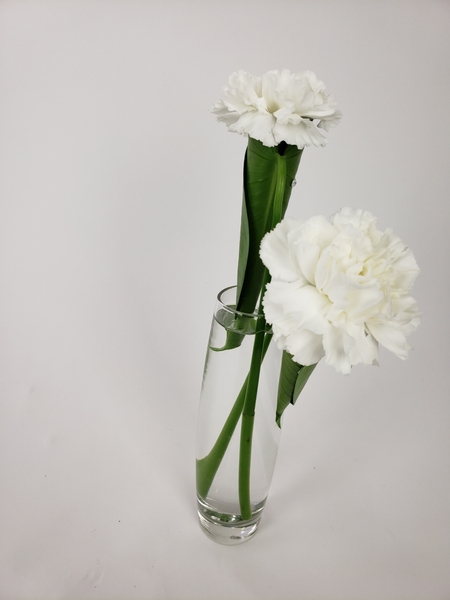Carnation sustainable spring flower bud vases