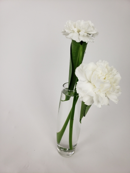 Carnation sustainable spring flower bud vases Carnation sustainable spring flower bud vases