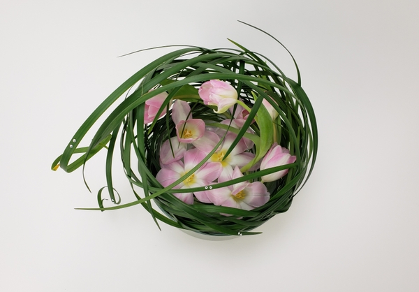 Diy tulip nest for spring flower arranging