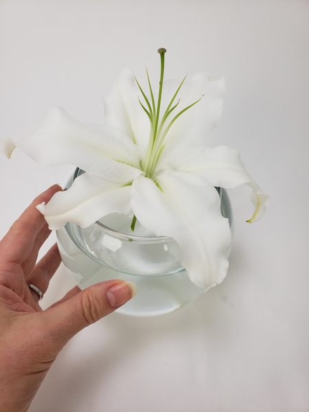 Place a fully opened lily over the opening of the vase