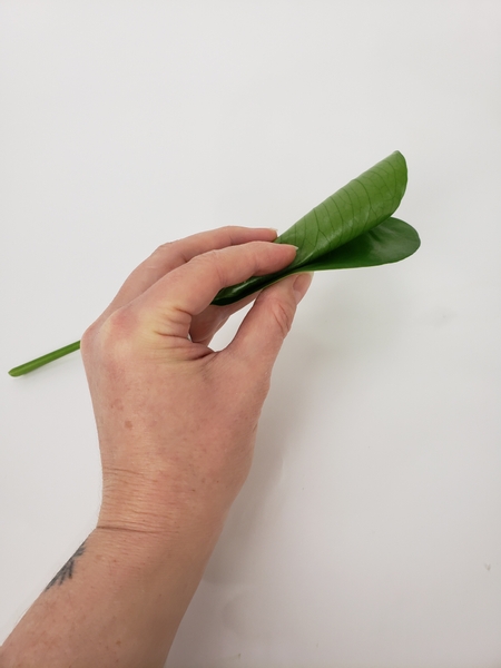 Roll a monstera leaf into a cone