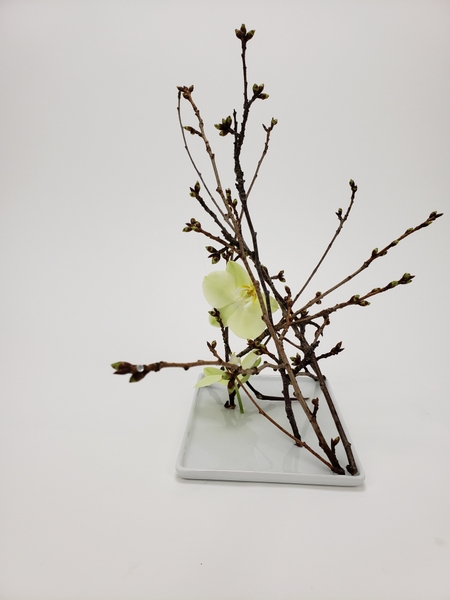 Sustainable floral design that is zero waste and foam free