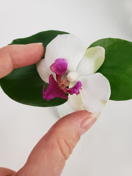 Add the orchid into the opening between the two leaves