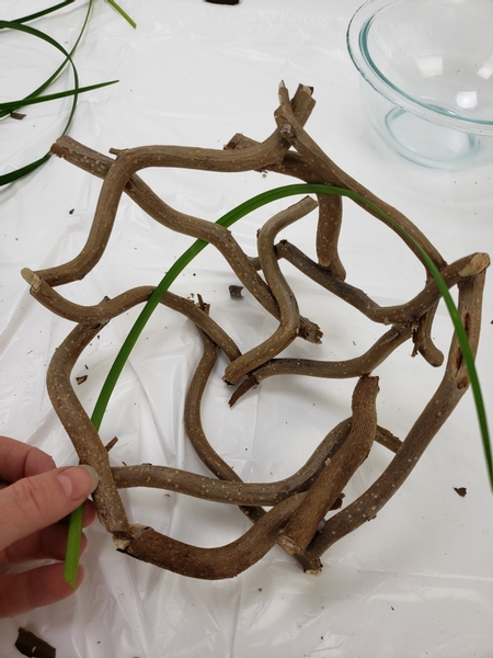 Start interweaving a fresh blade of grass through the twig basket frame