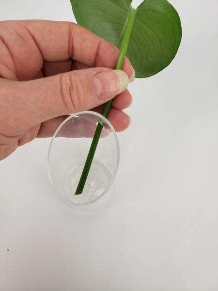 Thread your heaviest stem through the hole in the side of the beaker wall vase