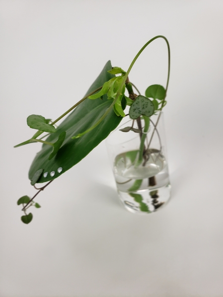 Using a small wall vase to design a sustainable arrangement