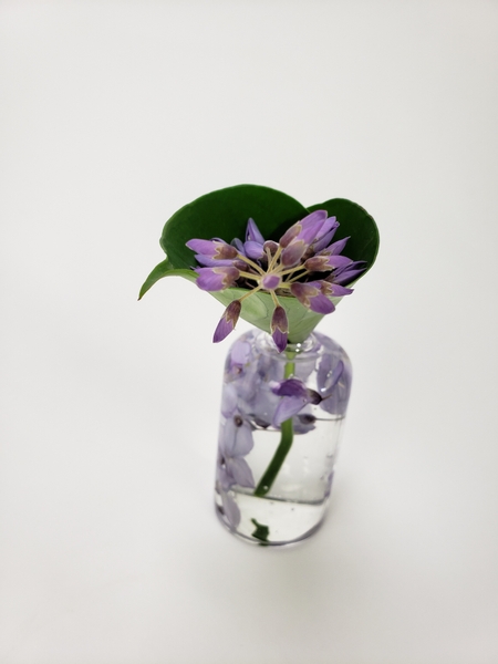 Contemporary floral design using wisteria