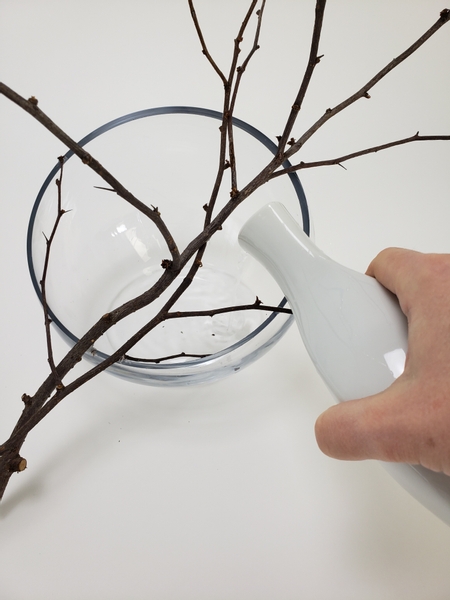 Fill the container with water only once the branches are securely glued to the vase