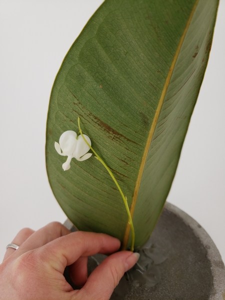 Measure the flower placement in the back of the leaf