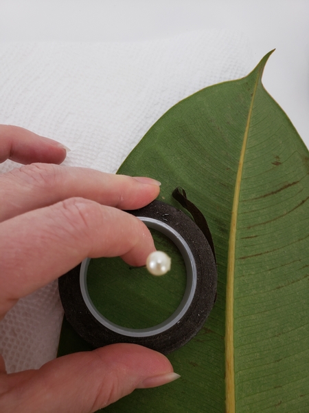 Place the leaf with the pin on a paper towel lined working surface.