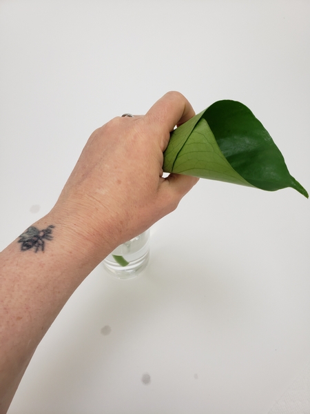Roll a monstera leaf into a cone and secure with floral glue