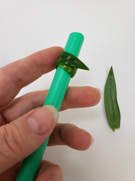 Roll the lily foliage into tubes