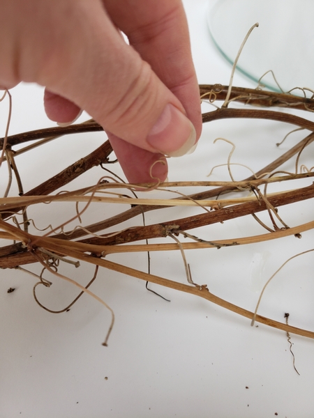 Wrap the tendrils around the vine stems to keep it in place