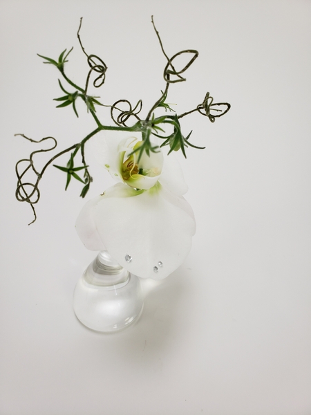 Orchids to create minimal flower details