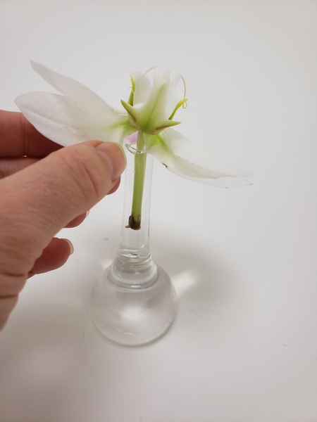 Place an orchid into a bud vase