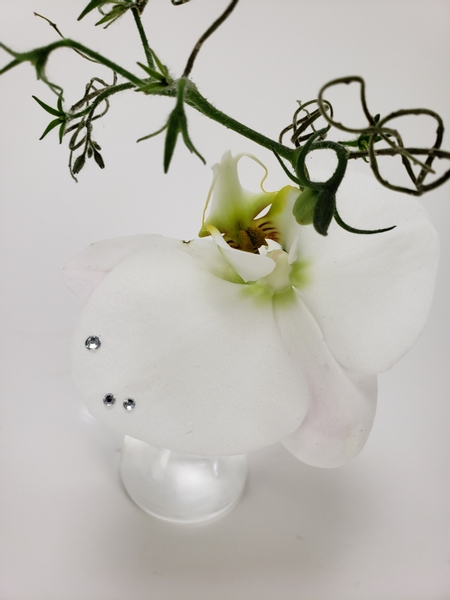 Tiny tomato vine in a budvase flower design