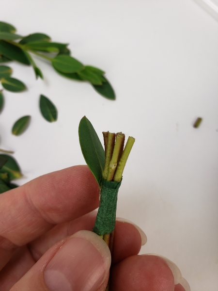 Using the more mature leaves that you stripped away start to glue in the petals