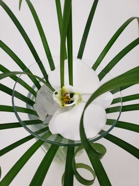 a single Phalaenopsis orchid with a bunch of lily grass in a summer flower arrangement