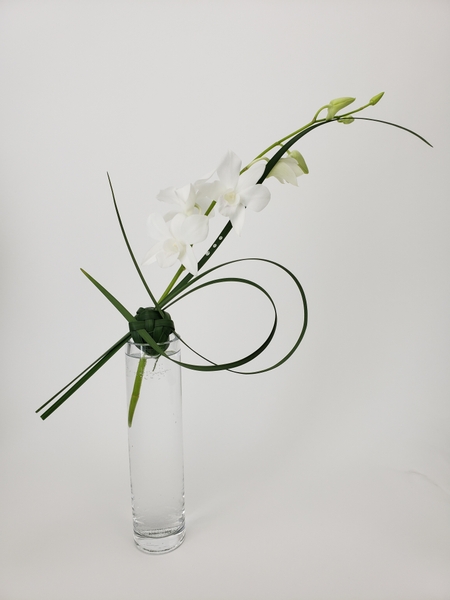 Dendrobium orchid in a minimal flower design