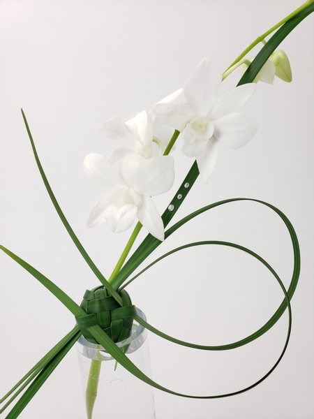 Natural and biodegradable floral design mechanics
