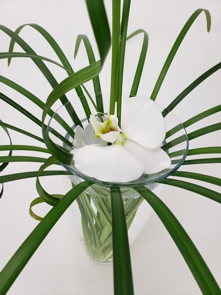 Phalaenopsis orchid in a sustainable floral design