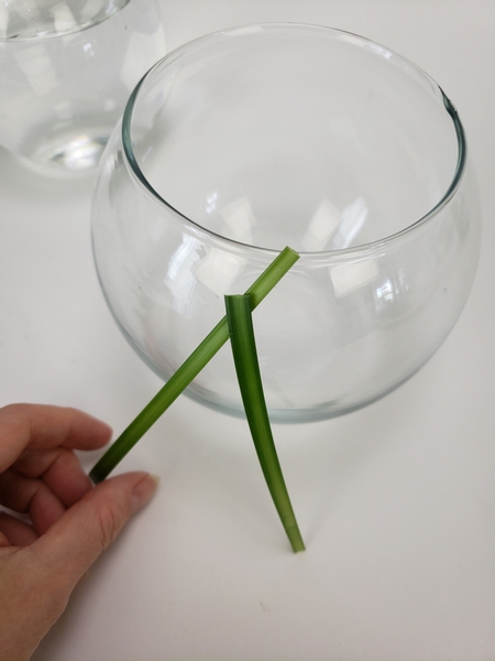 Place the grass on the outside of the container Place the grass on the outside of the container