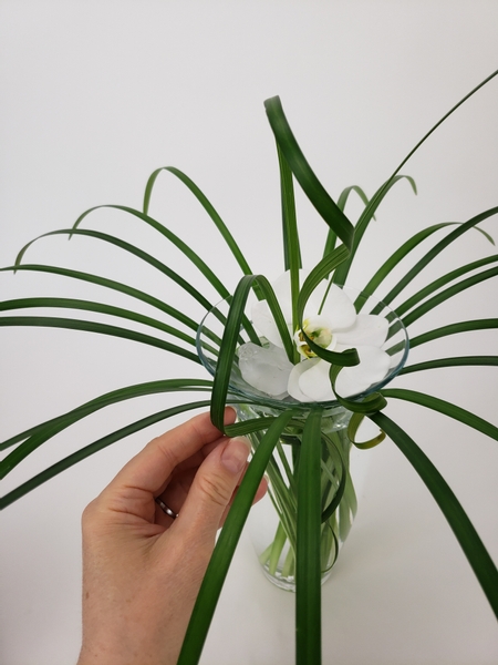 Place three blades of curled grass to dangle from the orchid out and over the edge of the vase