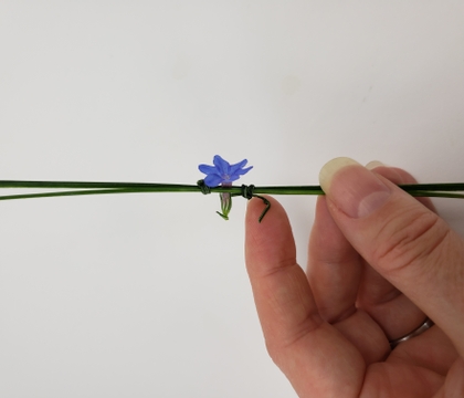 Suspend a tiny flower over a large water filled container in a sandwich knot support