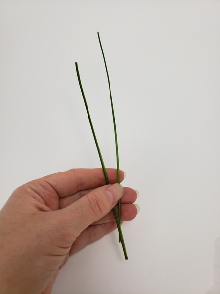 Use a pin to rip a blade of lily grass