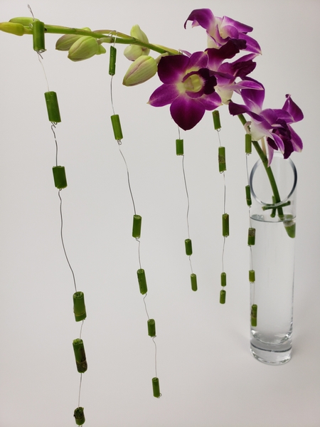 Dendrobium orchid design for summer