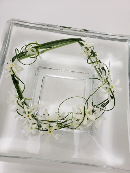 Floating jasmine flowers in water for a summer flower arrangement