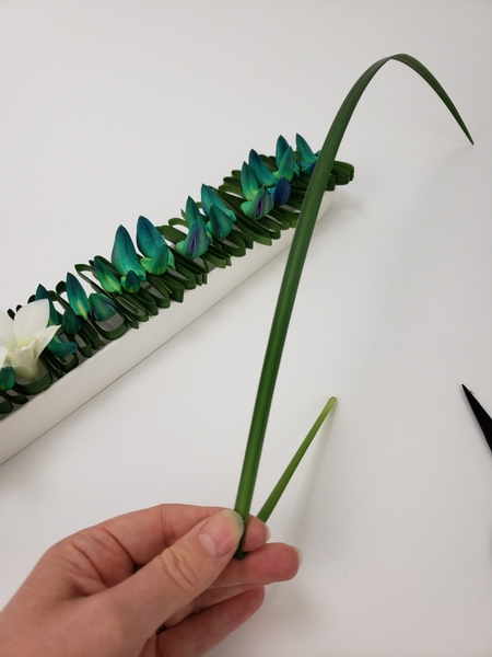 Fold a long blade of grass on one end
