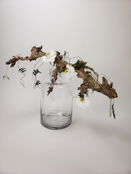 Phalaenopsis orchid and driftwood floral arrangement that is sustainable and floral foam free